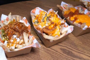 this place only sells french fries with all kinds of suace toppings