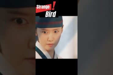 Strange Bird? #bonappetityourmajesty #yoona #leechaemin #kdrama2025 #viral #shorts #bestkdrama