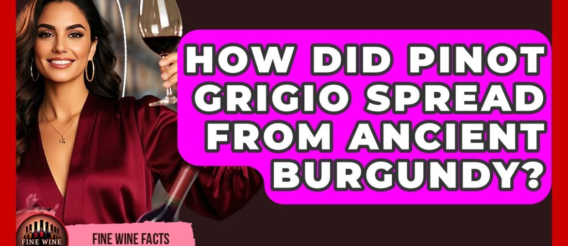 How Did Pinot Grigio Spread From Ancient Burgundy? – Fine Wine Facts How Did Pinot Grigio Spread From Ancient Burgundy? - Fine Wine Facts