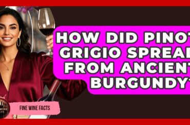 How Did Pinot Grigio Spread From Ancient Burgundy? - Fine Wine Facts