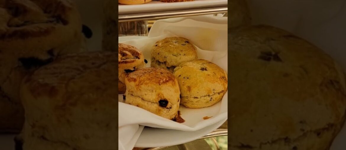 You Must Eat Tiny Sandwiches for Afternoon Tea at the Plaza