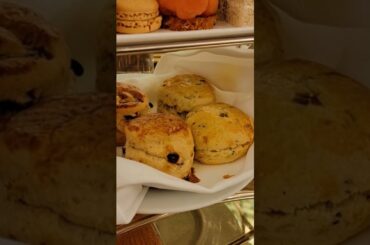 You Must Eat Tiny Sandwiches for Afternoon Tea at the Plaza