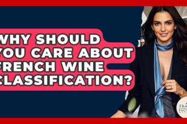 Why Should You Care About French Wine Classification? - France Fact File