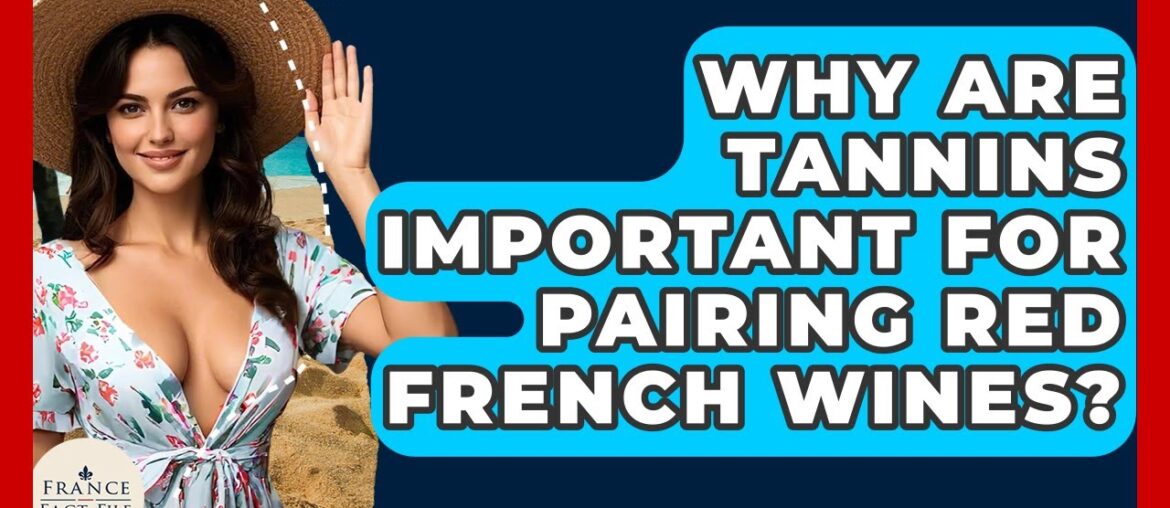Why Are Tannins Important For Pairing Red French Wines? – France Fact File Why Are Tannins Important For Pairing Red French Wines? - France Fact File