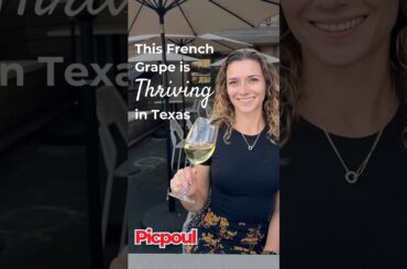 Could this French grape (Picpoul) be the future of Texas winemaking? #americanwine #frenchwine