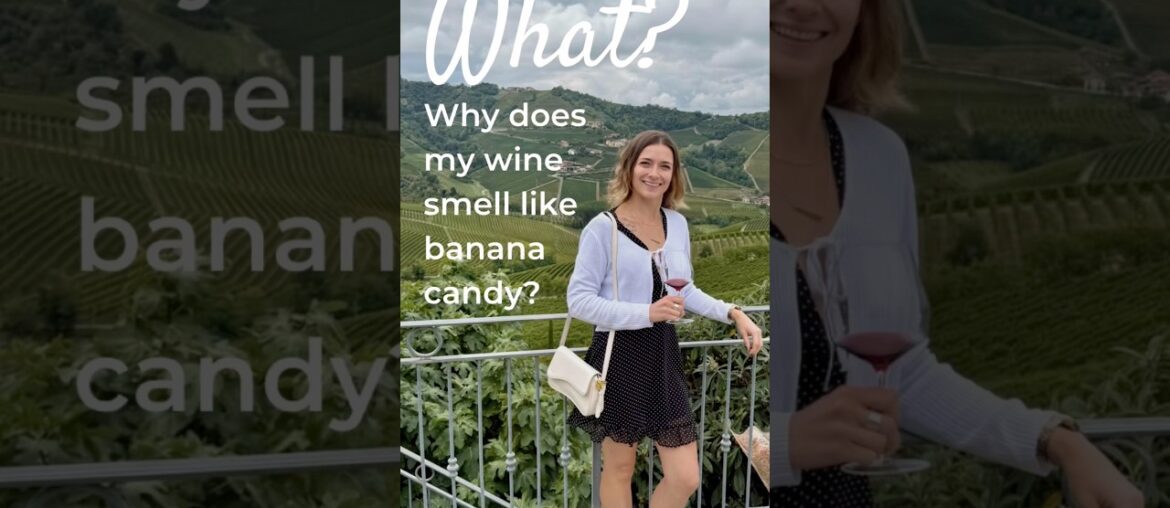Why does my wine smell like banana candy? The science behind Carbonic maceration, Beaujolais & Gamay Why does my wine smell like banana candy? The science behind Carbonic maceration, Beaujolais & Gamay