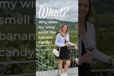 Why does my wine smell like banana candy? The science behind Carbonic maceration, Beaujolais & Gamay