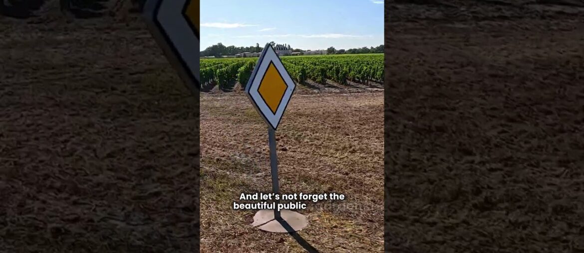 The Best Views in Bordeaux Bordeaux #France #WineCapital #TravelFacts #BordeauxWine #Culture