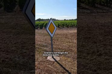 The Best Views in Bordeaux Bordeaux #France #WineCapital #TravelFacts #BordeauxWine #Culture