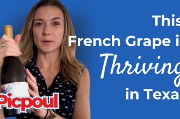Is Picpoul the Future of Texas Wine? The Grape Defying the Heat
