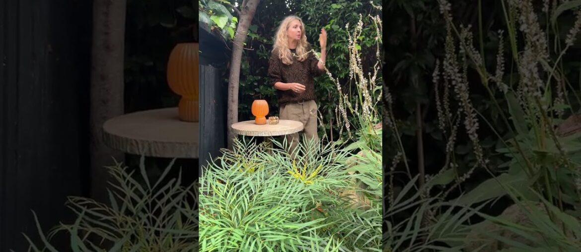 Garden Club: How to Make an Outdoor Table Feel Like a French Bistro | Design Tips | Abigail Ahern