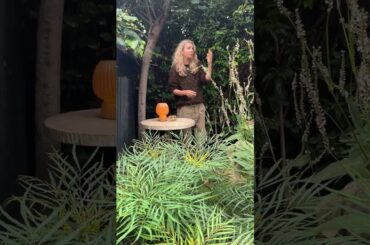 Garden Club: How to Make an Outdoor Table Feel Like a French Bistro | Design Tips | Abigail Ahern