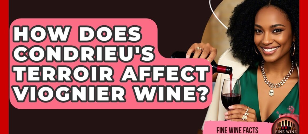 How Does Condrieu's Terroir Affect Viognier Wine? - Fine Wine Facts