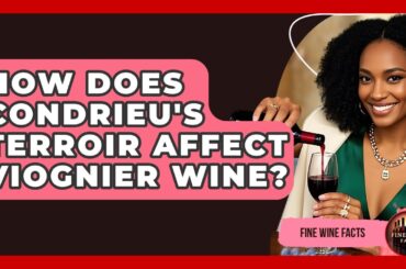 How Does Condrieu's Terroir Affect Viognier Wine? - Fine Wine Facts