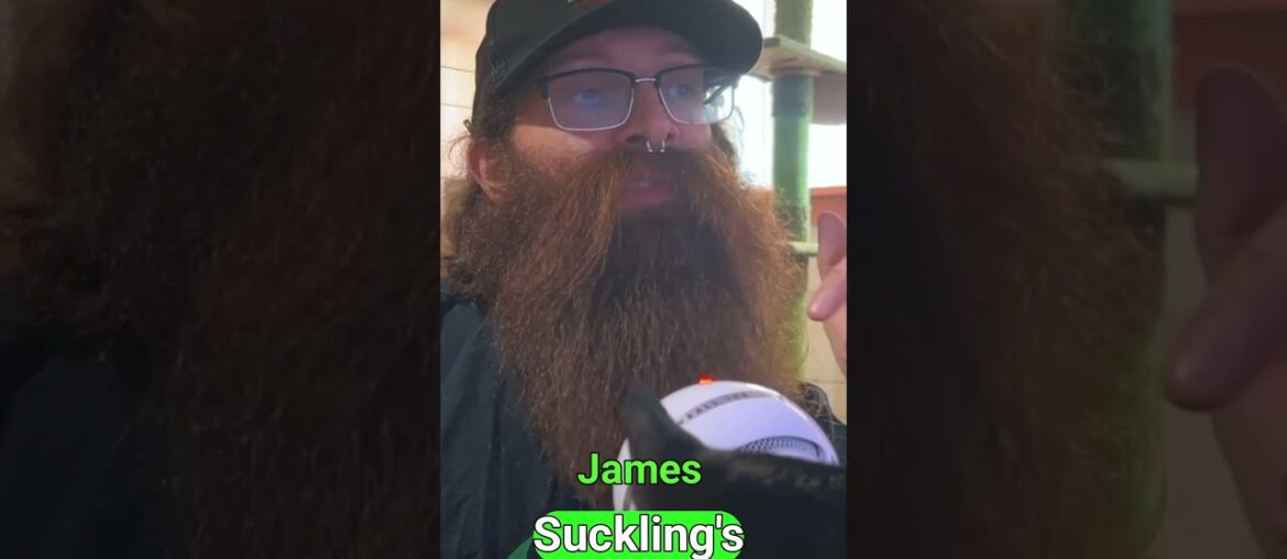 Egly-Ouriet Grand Cru Champagne | 97 Points