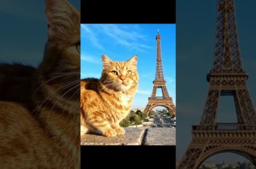 Ginger the Gourmet Cat in Paris: An Epicurean Adventure