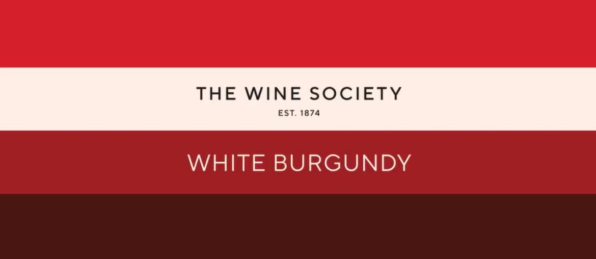 Explore White Burgundy | White Burgundy Tasting Kit Explore White Burgundy | White Burgundy Tasting Kit
