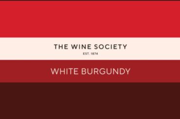 Explore White Burgundy | White Burgundy Tasting Kit