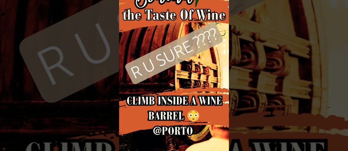 INSIDE THE WINE BARREL!Quinta do Beijo