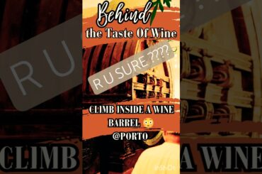 INSIDE THE WINE BARREL!Quinta do Beijo