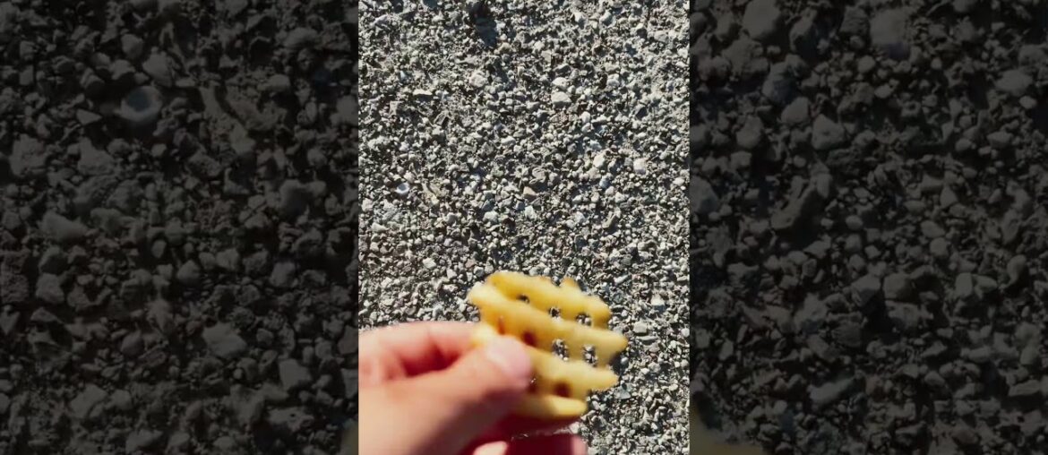 I ate random french fries #French fries #YouTube #Funny