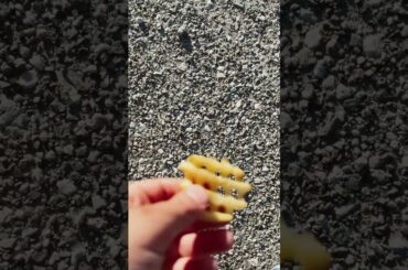 I ate random french fries #French fries #YouTube #Funny