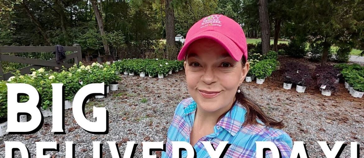 Huge Shrub Haul at the Garden Center | Fresh Deliveries for Fall Planting