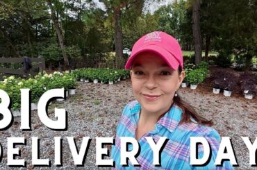 Huge Shrub Haul at the Garden Center | Fresh Deliveries for Fall Planting