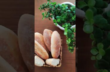 The Art of Perfect Homemade French Bread