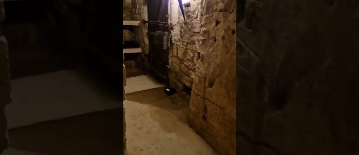 Vintages and old wines in an authentic wine cellar in the heart of Bordeaux region.@thewinelobbyist