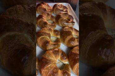 Butter Croissants out of the oven