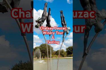 Tour & Wine Tasting At Chateau Dauzac #bordeaux #margaux #chateaudauzac #frenchwine #travel #france