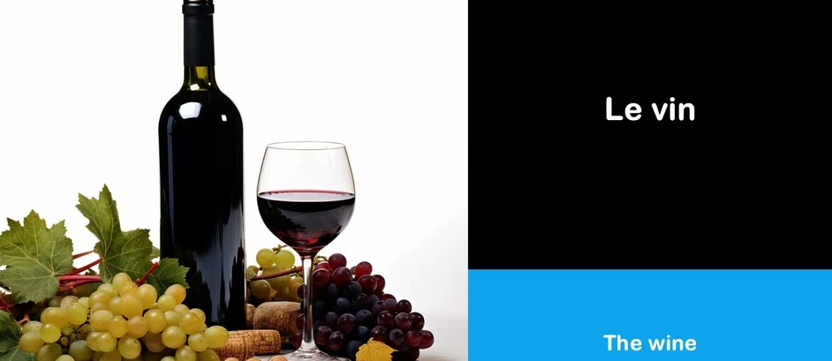 Say it in French I The wine Say it in French I The wine
