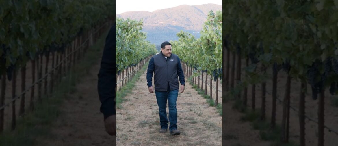 Jesse Rodriguez, Magellan Jets Sommelier Jesse Rodriguez, Magellan Jets Sommelier