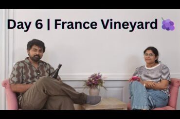 Ultimate French Wine Tasting Experience | Day 6 France#FranceVlog #WineTasting #FrenchWine #Vineyard