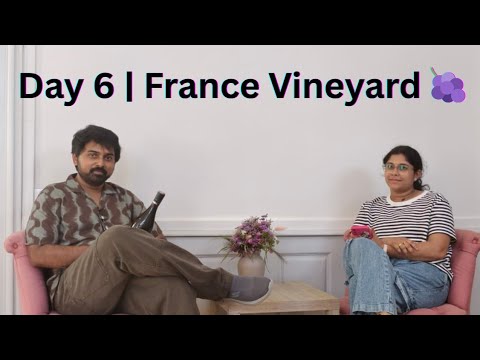 Ultimate French Wine Tasting Experience | Day 6 France#FranceVlog #WineTasting #FrenchWine #Vineyard Ultimate French Wine Tasting Experience | Day 6 France#FranceVlog #WineTasting #FrenchWine #Vineyard