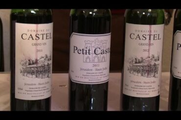 Israeli wine producers showcase non-Kosher wines in Paris