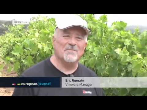 France: Celebrity Vineyards | European Journal France: Celebrity Vineyards | European Journal