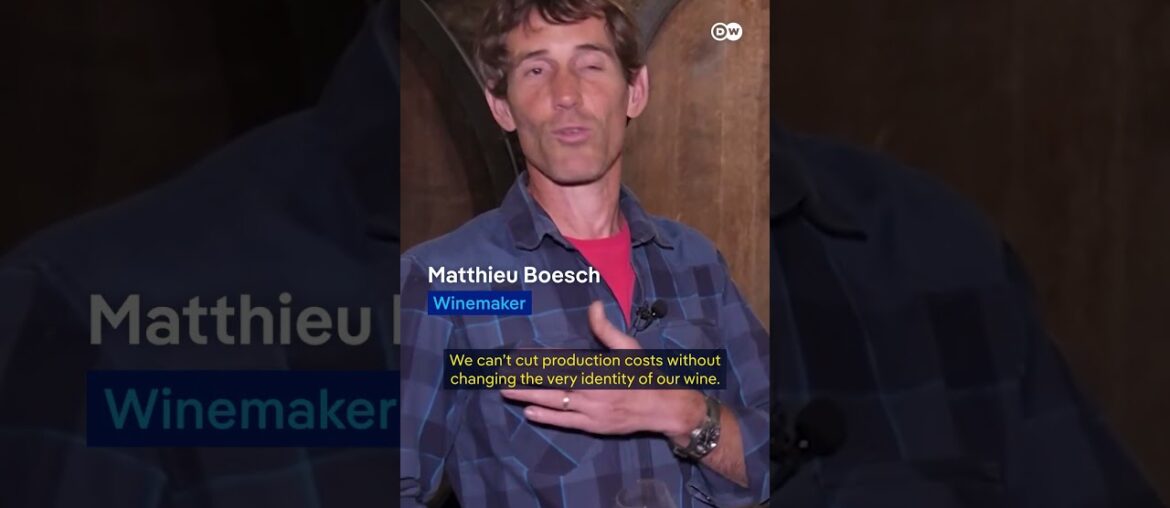 Can French winemaking survive US tariffs? | DW News Can French winemaking survive US tariffs? | DW News