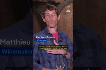 Can French winemaking survive US tariffs? | DW News