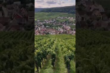 French Wine Tradition vs U.S. Trade War: Who Will Win?