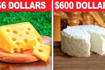 The 7 Most Expensive Cheeses in the World ($600 per Pound?!)