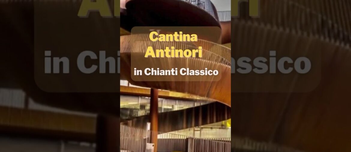 Inside Tuscany’s Magical Wine Temple! Inside Tuscany’s Magical Wine Temple!