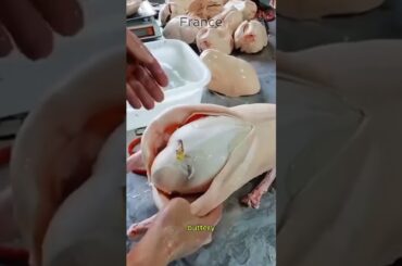 Foie Gras: The Luxury Food That’s Banned in Some Countries! #parisfoodie #frenchfood  #foodhistory