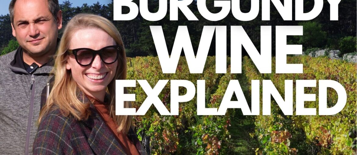 Beginner's Guide to Burgundy Wine