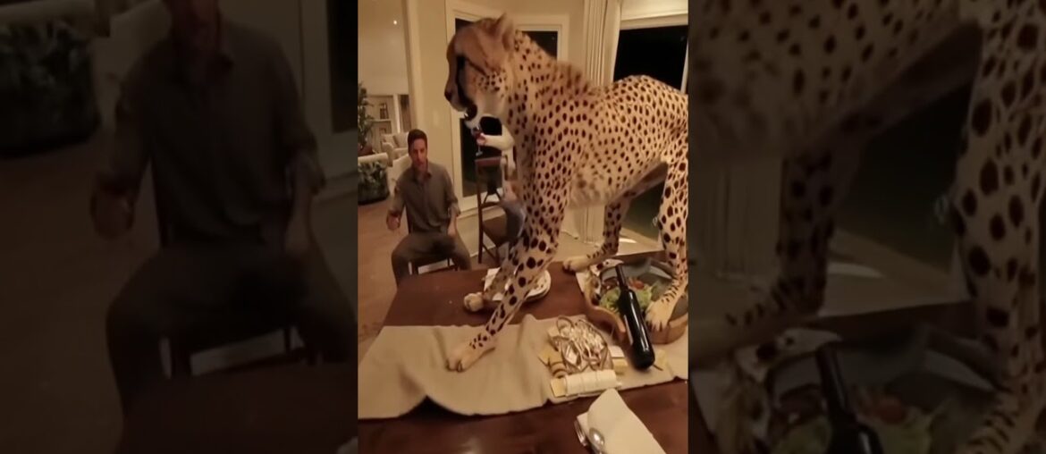 Cheetah Crashes Family Dinner! Dog and Cat Team Up to Fight Back Cheetah Crashes Family Dinner! Dog and Cat Team Up to Fight Back