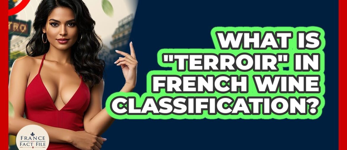 What Is "terroir" In French Wine Classification? - France Fact File