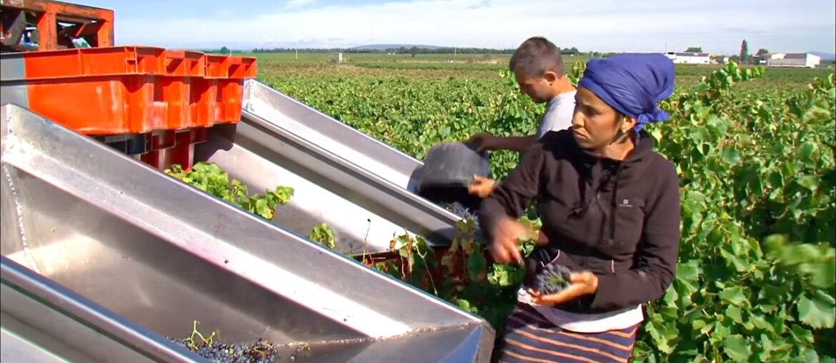 Southern Rhone Valley, Discovering the Greatest French Wines Southern Rhone Valley, Discovering the Greatest French Wines