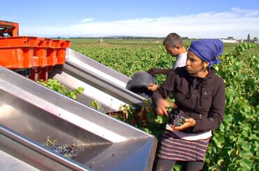 Southern Rhone Valley, Discovering the Greatest French Wines