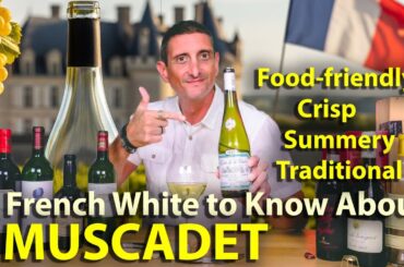 A Food-Friendly French wine to try - Muscadet (Tasting Revelation!)